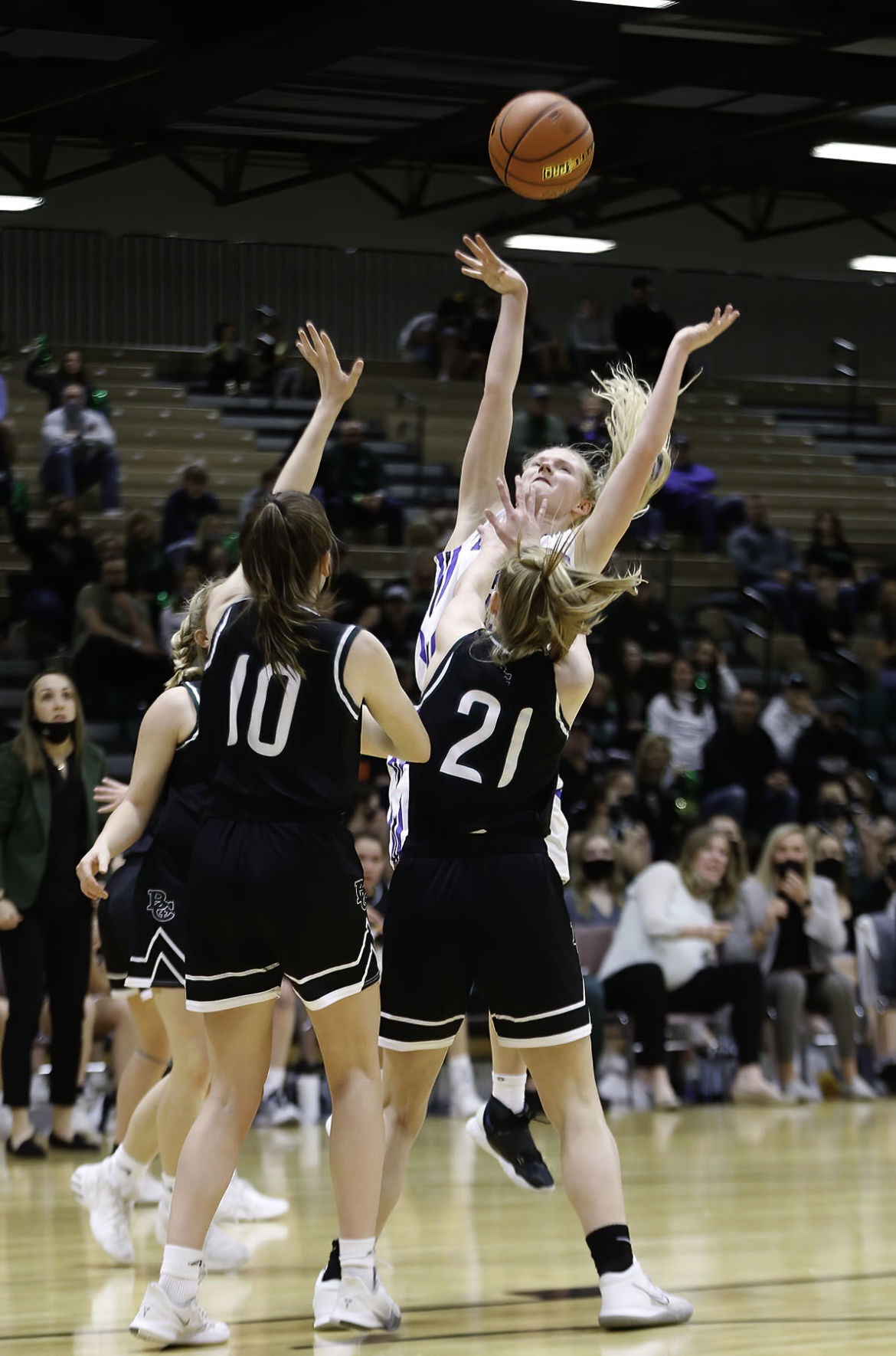 Havre's Sadie Filius
